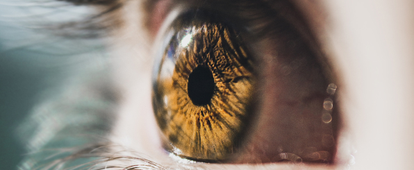 pupila de ojo humano de color marrón